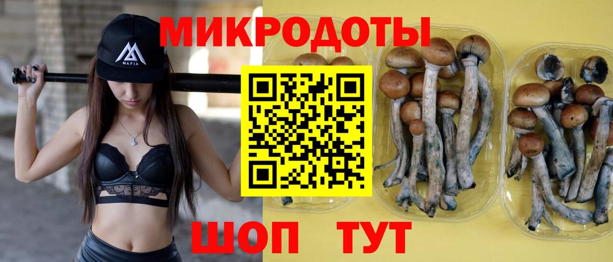 Псилоцибиновые грибы ЛСД  Вход с VPN  Гусиноозёрск 