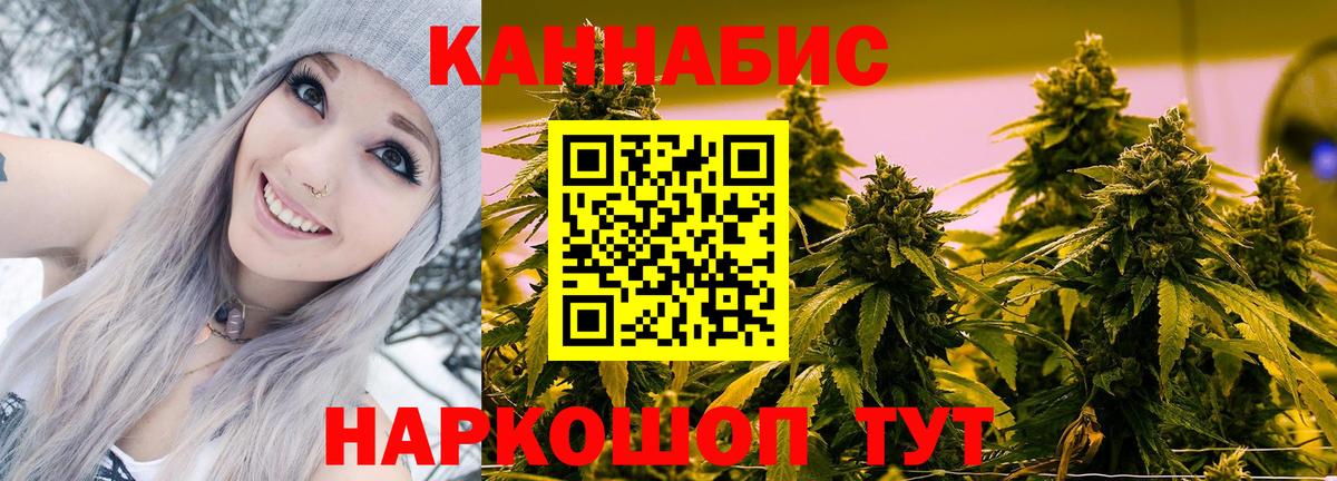 Конопля Гусиноозёрск